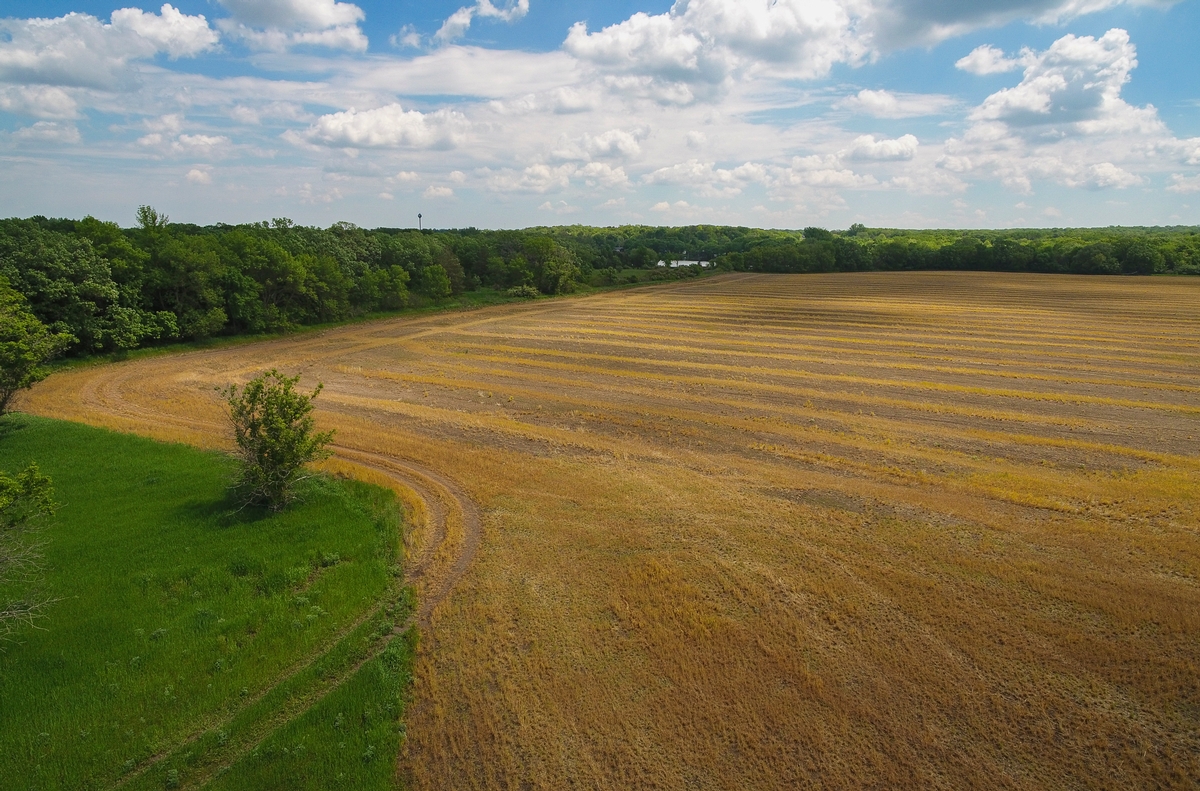 A portion of a new Stearns County Park on land conveyed by Pheasants Forever along the Sauk River Chain of Lakes is pictured in June, 2024. (Photo by Dave Schwarz/Pheasants Forever) Wocken Acquisition